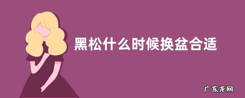 黑松什么时候换盆合适