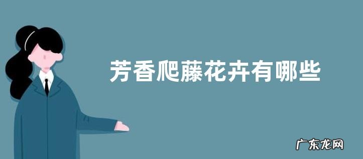 芳香爬藤花卉有哪些