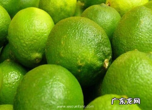 柠檬有多少品种