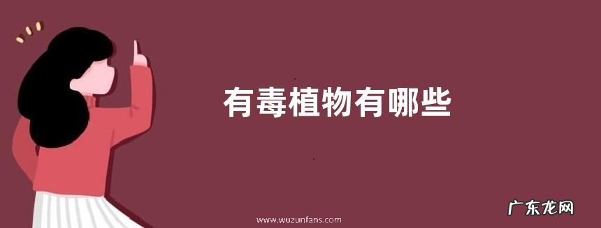 有毒植物有哪些