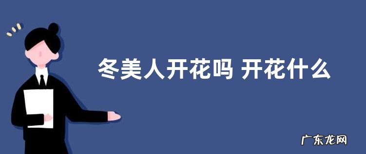 冬美人开花吗 开花什么样子