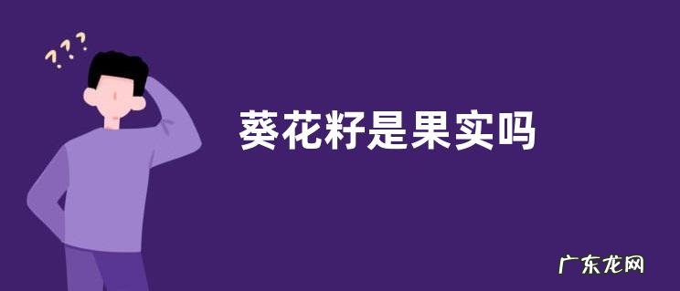 葵花籽是果实吗