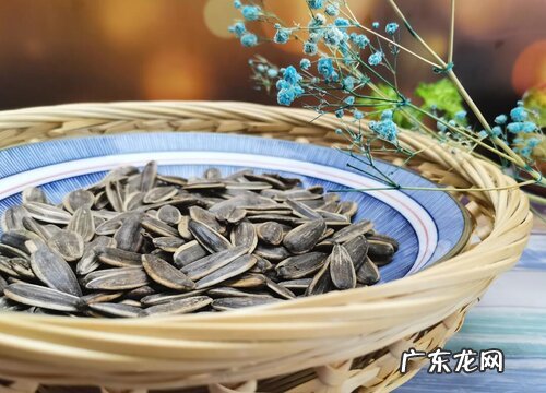 葵花籽是果实吗