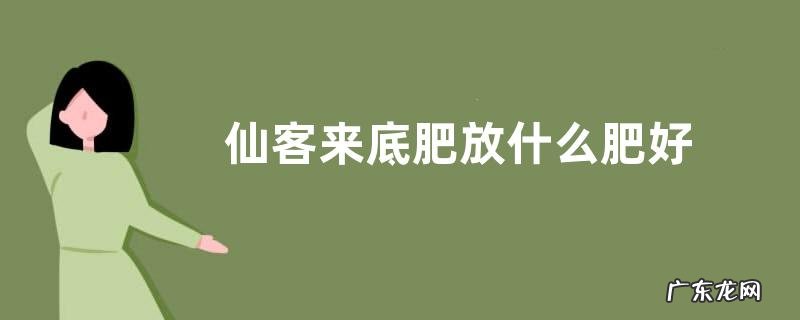 仙客来底肥放什么肥好 底肥施用方法