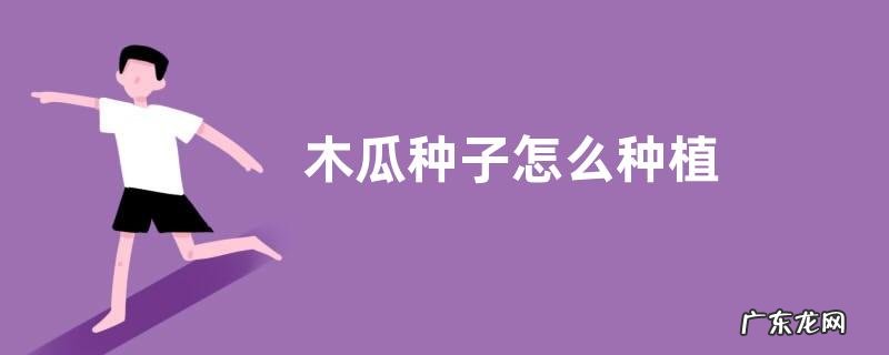 木瓜种子怎么种植