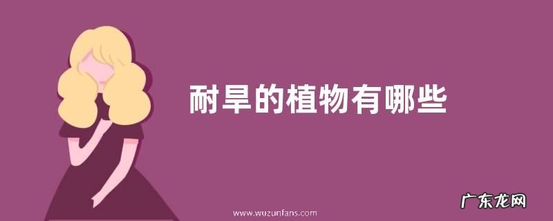 耐旱的植物有哪些