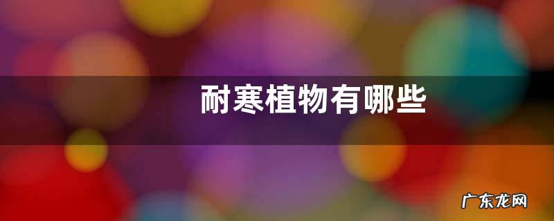 耐寒植物有哪些