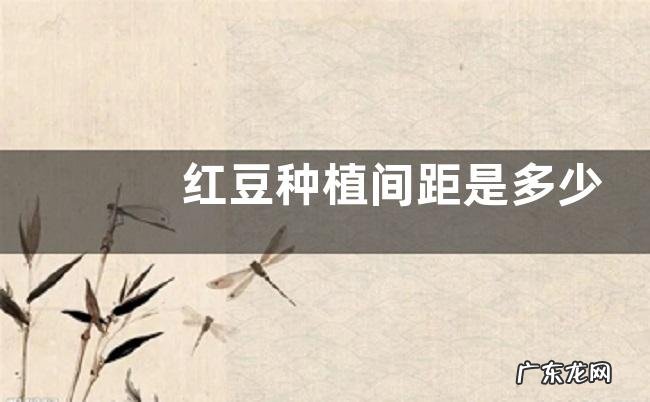 红豆种植间距是多少