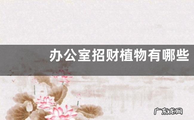 办公室招财植物有哪些