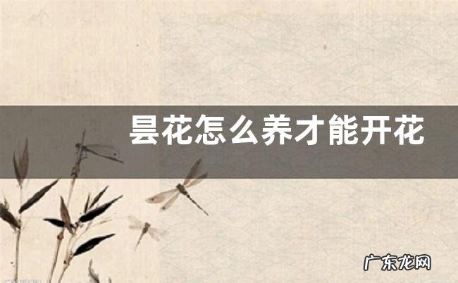 昙花怎么养才能开花