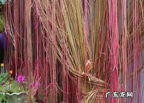 长藤的植物有哪些