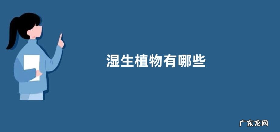 湿生植物有哪些