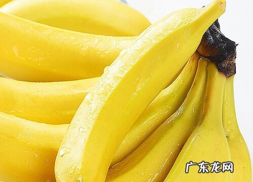 香蕉是果实吗