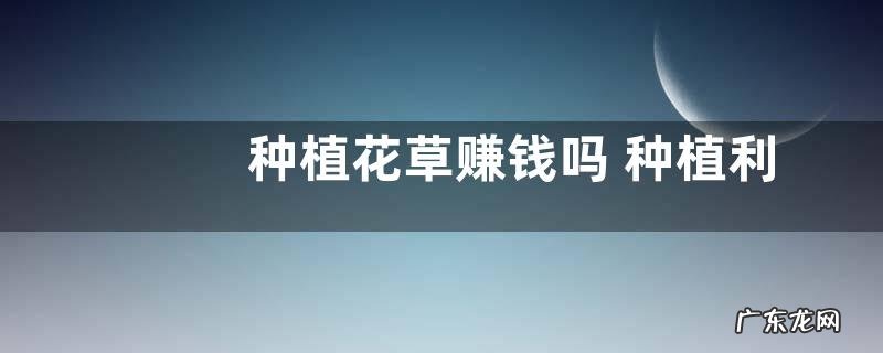 种植花草赚钱吗 种植利润如何