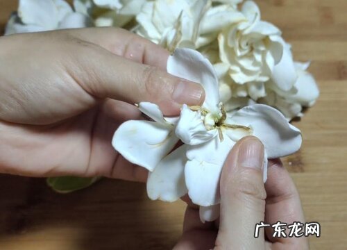 栀子花可以吃吗