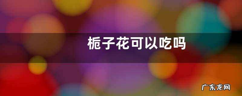 栀子花可以吃吗