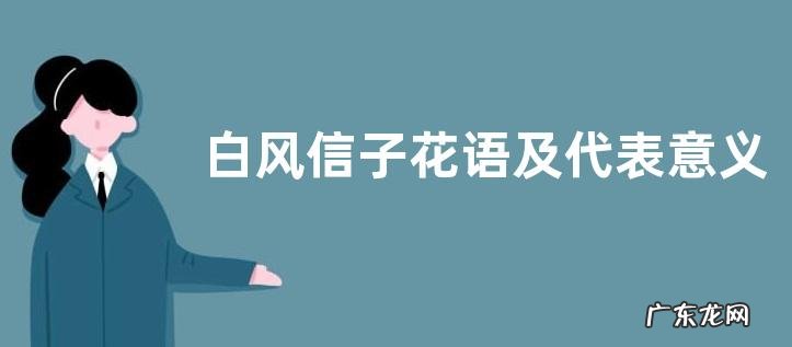 白风信子花语及代表意义