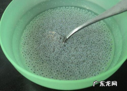 明珠果是什么水果