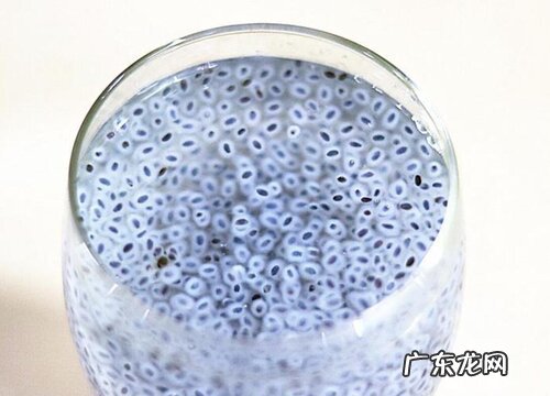 明珠果是什么水果