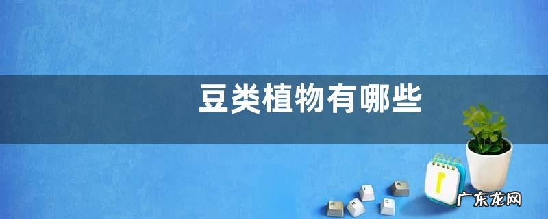 豆类植物有哪些