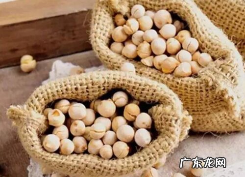 豆类植物有哪些