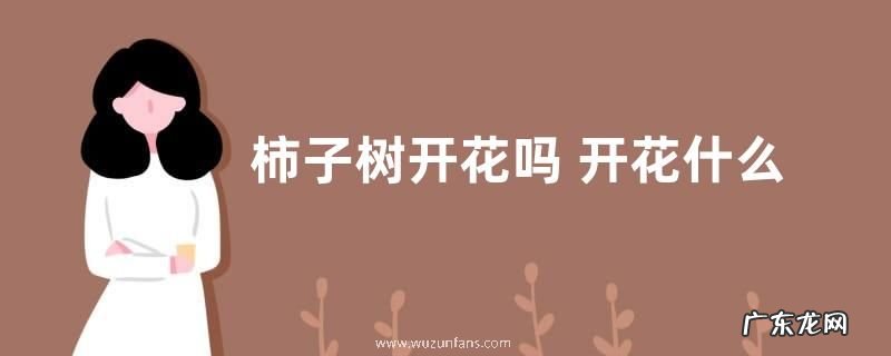 柿子树开花吗 开花什么样子