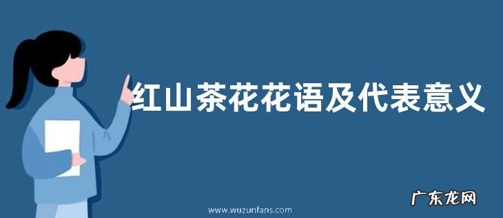 红山茶花花语及代表意义