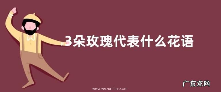 3朵玫瑰代表什么花语