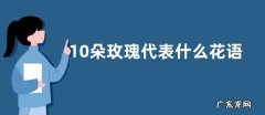 10朵玫瑰代表什么花语