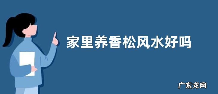 家里养香松风水好吗