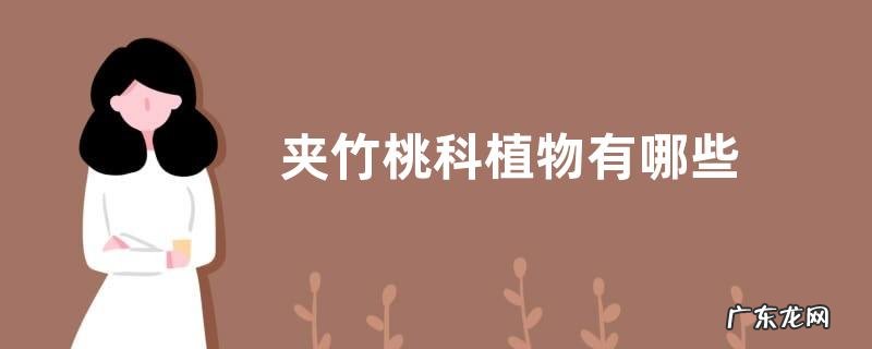 夹竹桃科植物有哪些