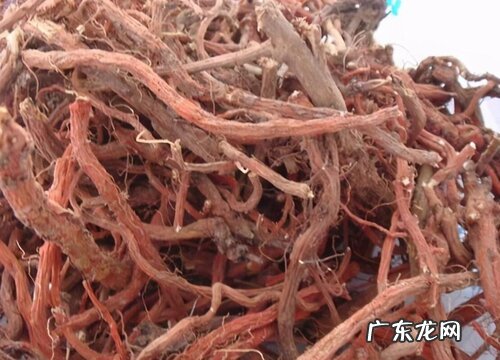 丹参在农村叫什么