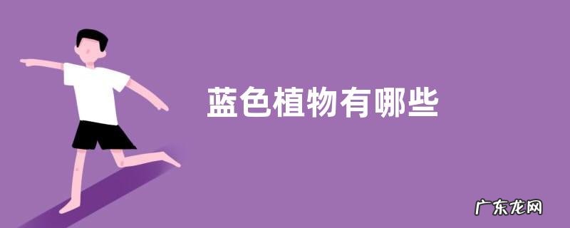 蓝色植物有哪些