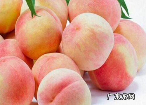 上海有什么水果