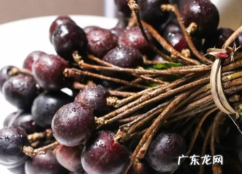 云南腾冲有什么水果