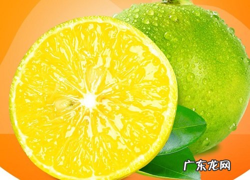 曲靖有什么水果