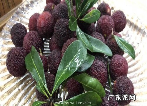 汕头有什么水果