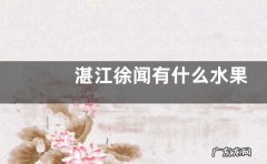 湛江徐闻有什么水果