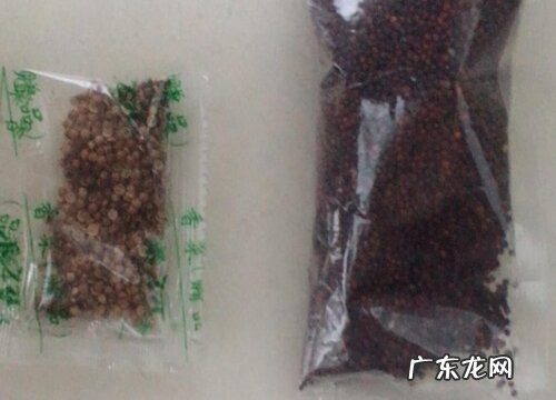 图片 小白菜的种子长什么样