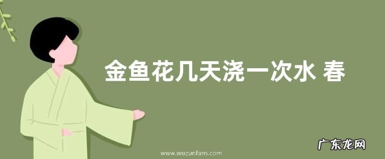 金鱼花几天浇一次水 春夏秋冬各不同