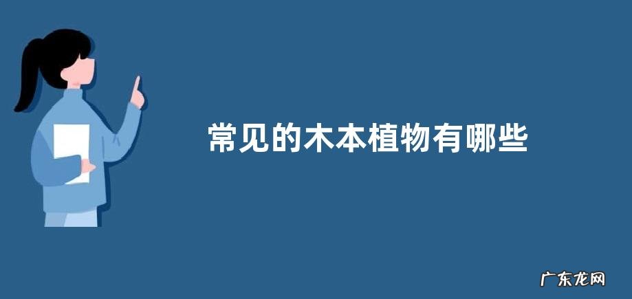 常见的木本植物有哪些