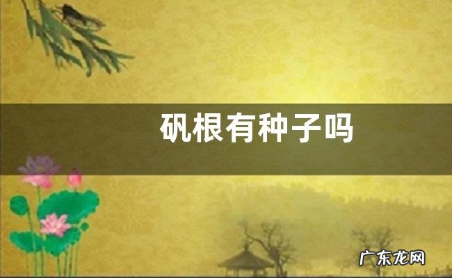 矾根有种子吗