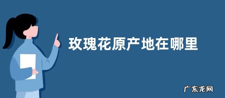 玫瑰花原产地在哪里
