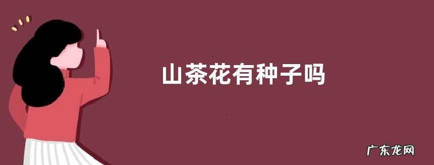 山茶花有种子吗