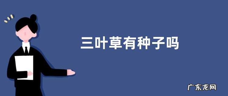 三叶草有种子吗