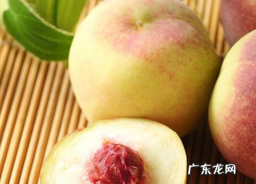 甘肃特产水果有哪些