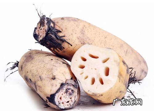 莲藕是碳水化合物吗