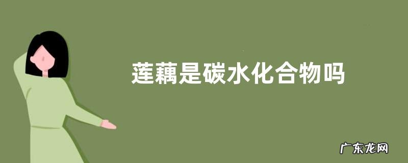 莲藕是碳水化合物吗