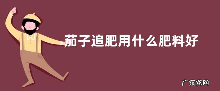 茄子追肥用什么肥料好
