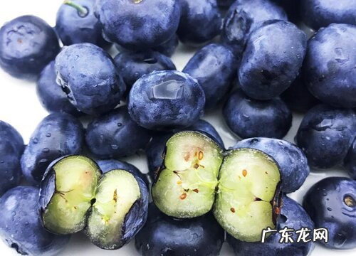 蓝莓果实类型